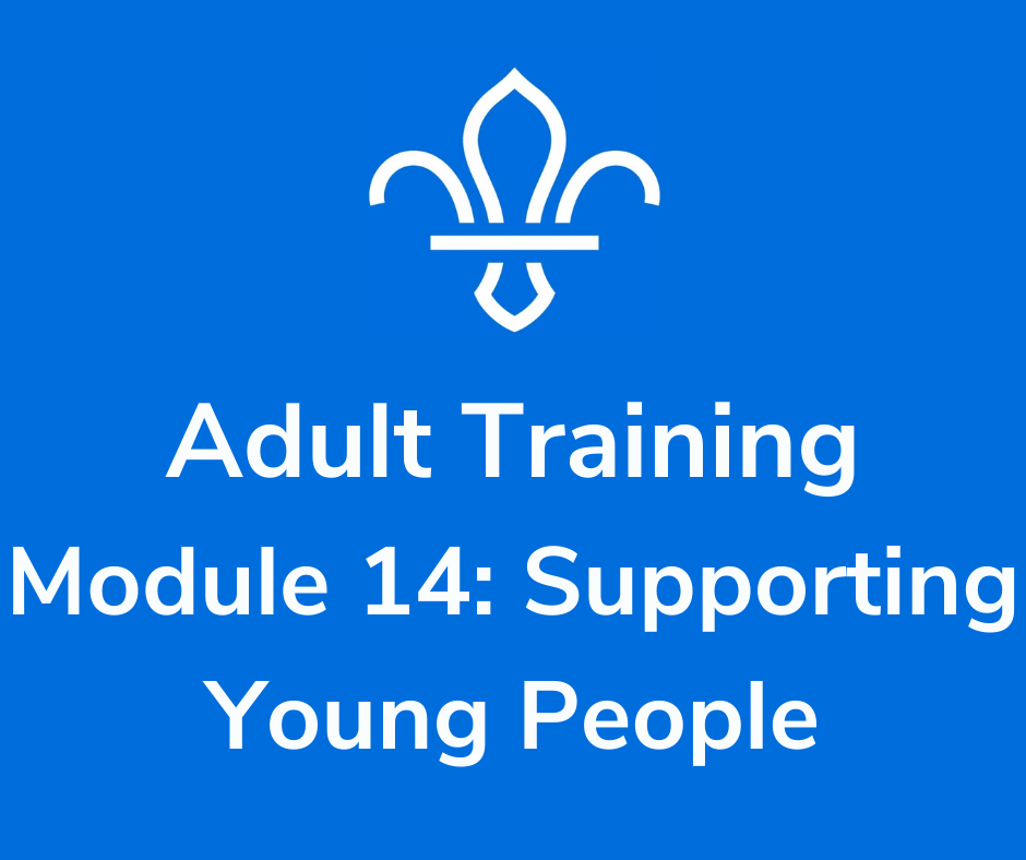 <b>Module 14: Supporting Young People</b>